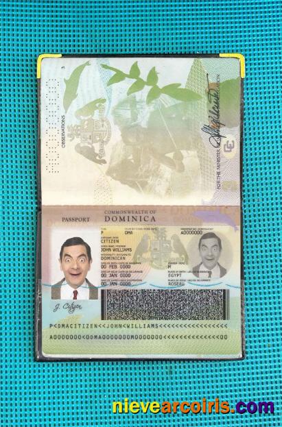 Dominican Passport photolook